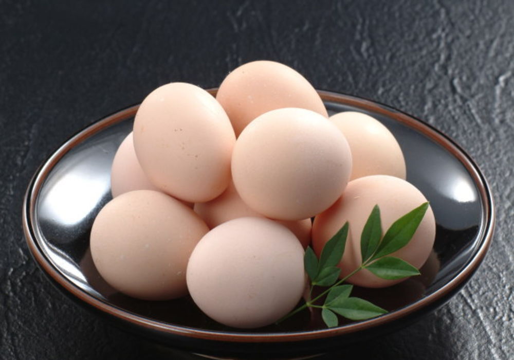 名古屋コーチン 産みたて有精卵 プラチナエッグ個 鶏肉の販売や料理にこだわったレストランの商品紹介をご覧ください